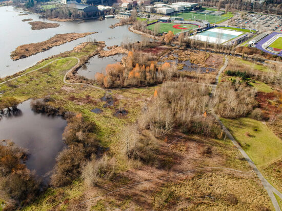 Union Bay Natural Area Union Bay Natural Area