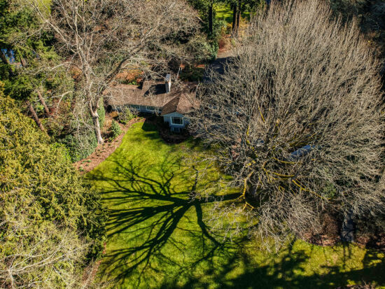 Magnolia kobus Dunn Gardens aerial view