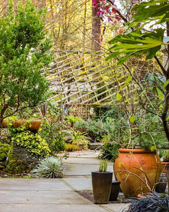 Lathe house and patio Dunn Gardens lathe house