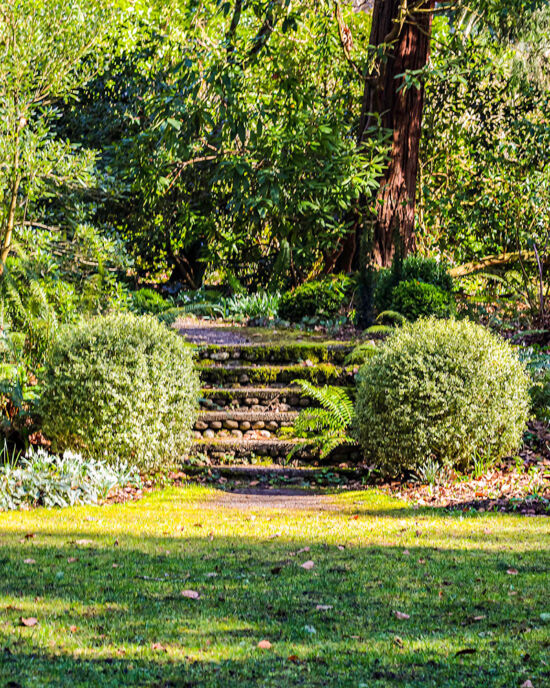 Stone staircase Dunn Gardens, Olmsted stairs