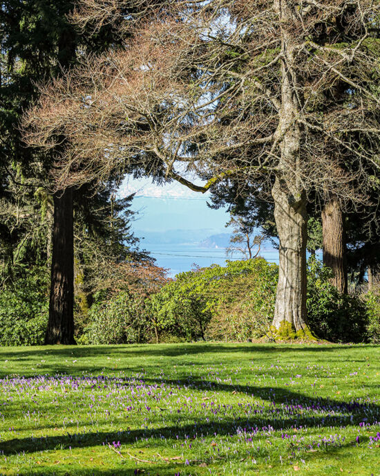 View of the water Dunn Garden, view of the water