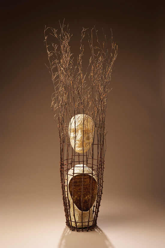 Enigma Jan Hopkins, Enigma