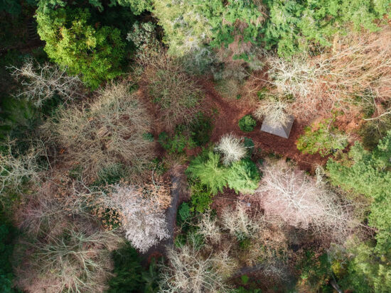 Kruckeberg Gardens, Skylar Lin overhead