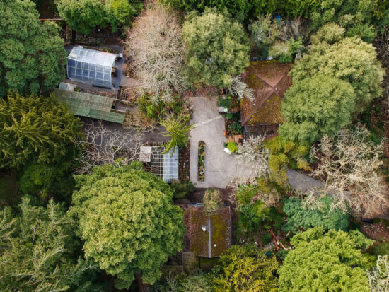 Kruckeberg Gardens, Skylar Lin overhead