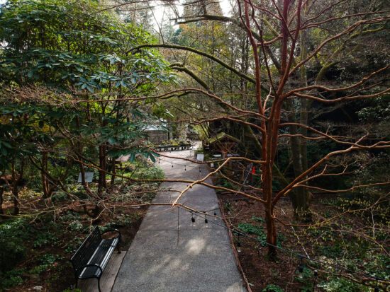 Kruckeberg Gardens, Skylar Lin overhead