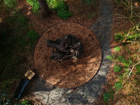 Kruckeberg Gardens, Skylar Lin overhead