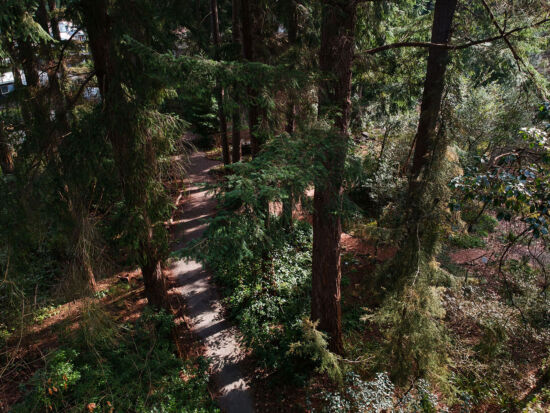 Kruckeberg Gardens, Skylar Lin overhead