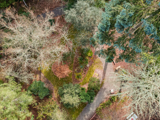 Kruckeberg Gardens, Skylar Lin overhead