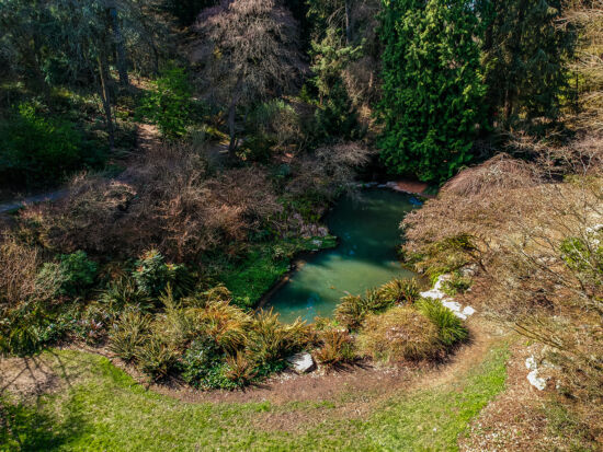 Upper woodland garden