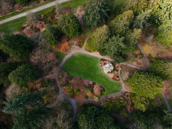 Joseph A. Witt Winter Garden