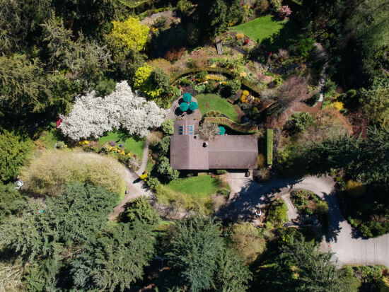PowellsWood overhead view, Skylar Lin