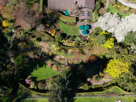 PowellsWood overhead view, Skylar Lin