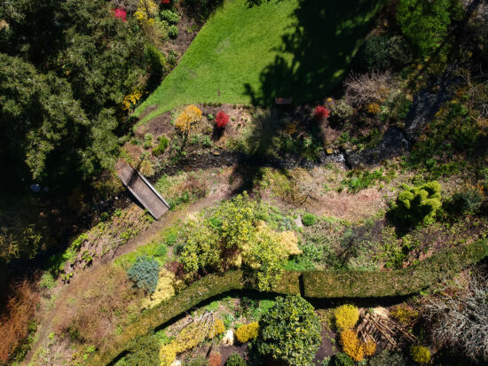 PowellsWood overhead view, Skylar Lin