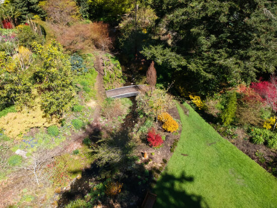 PowellsWood overhead view, Skylar Lin