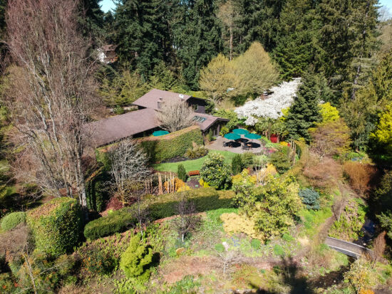 PowellsWood overhead view, Skylar Lin