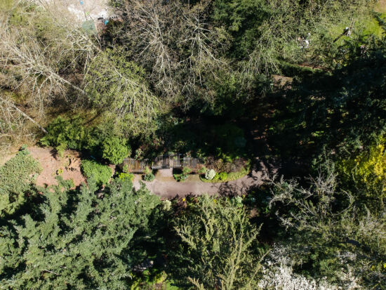 PowellsWood overhead view, Skylar Lin