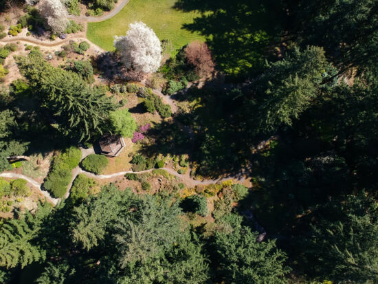 RSF alpine rock garden