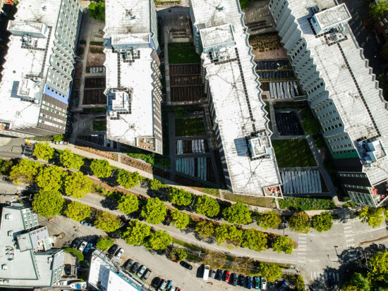 UW Farm at Mercer Court