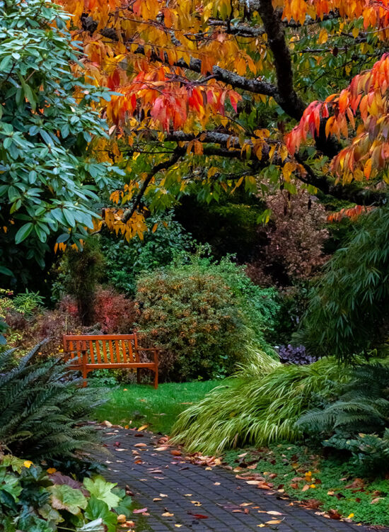 Justin Henderson, Powellswood