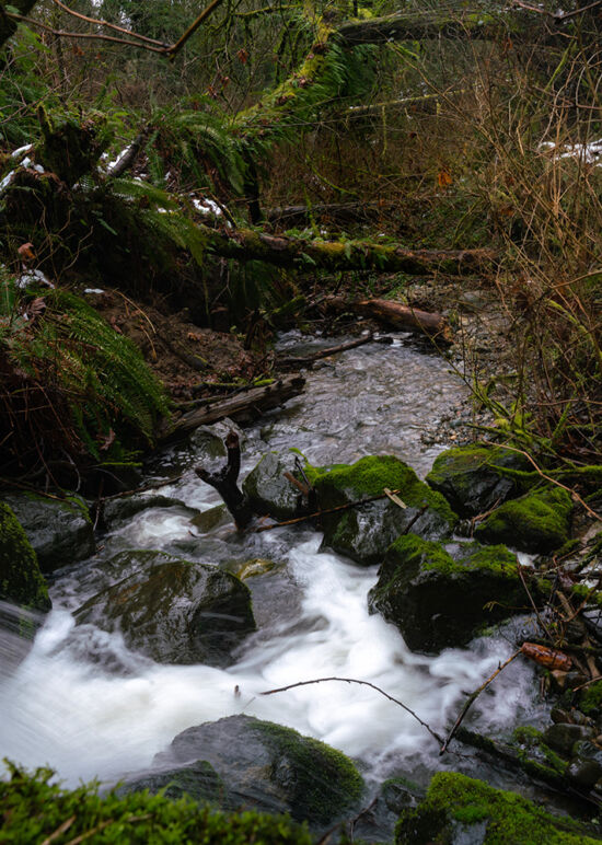 Justin Henderson, Powellswood