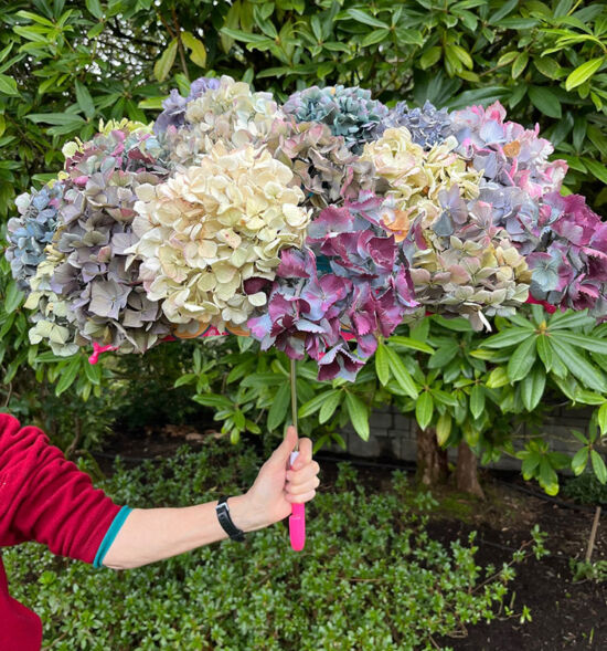 Seattle Bumbershoots, Seattle Garden Club photo by Gayle Harris