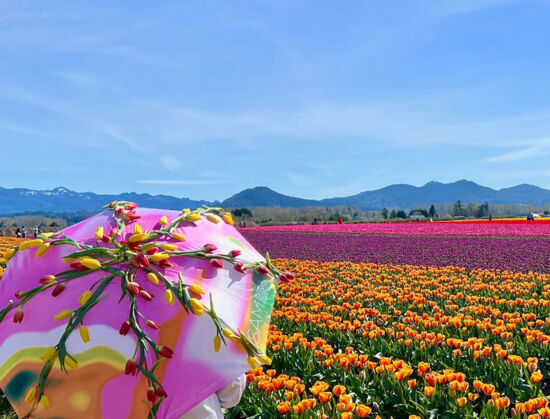 Seattle Bumbershoots, Seattle Garden Club photo by Gayle Harris