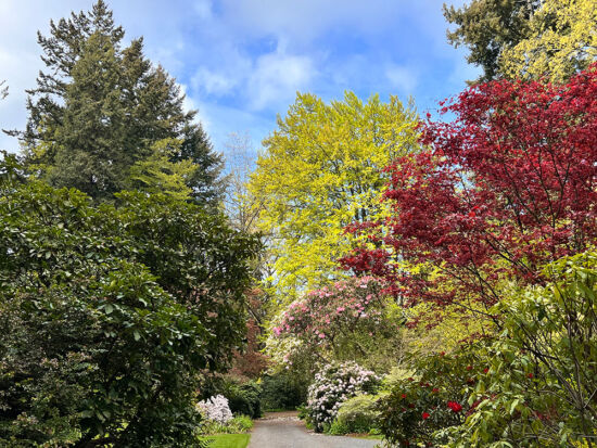 Garden Surprises at the Dunn Gardens