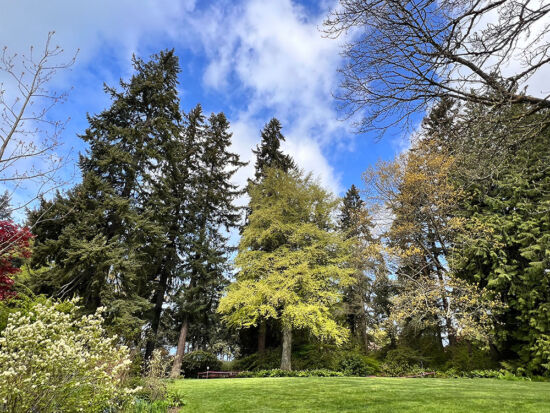 Garden Surprises at the Dunn Gardens