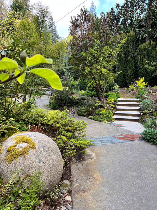 Garden Surprises at the Dunn Gardens