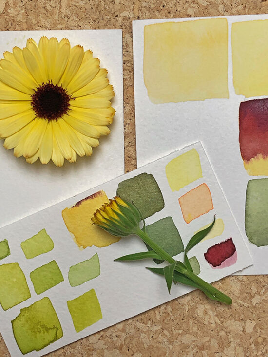 Color Collective, Lorene Edwards Forkner, color study