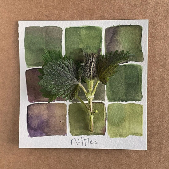 Color Collective, Lorene Edwards Forkner, nettles