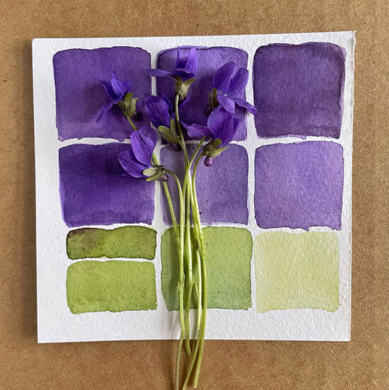 Color Collective, Lorene Edwards Forkner, sweet violet