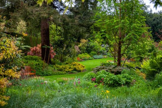 Joie de Vivre in the Garden, Justin Henderson