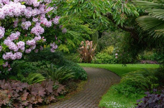 Joie de Vivre in the Garden, Justin Henderson