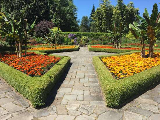 Travel: Plants, Gardens, Landscapes, Earth. Heronswood Potager. Heronswood Potager by Sue Nevler