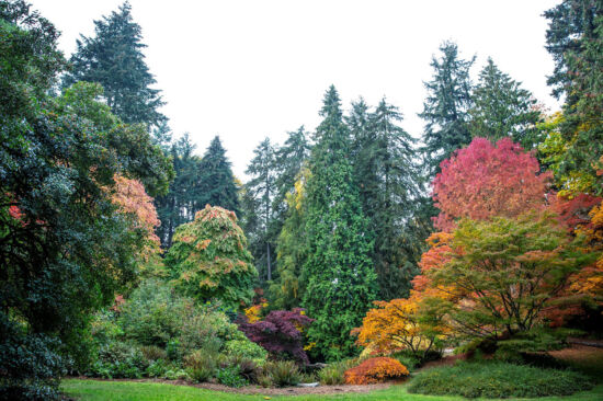 Arboretum Woodland Garden in fall Arboretum Woodland Garden in fall