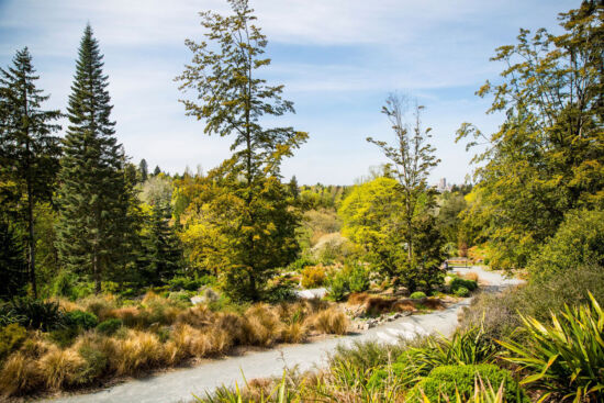 Arboretum, New Zealand Forest Arboretum, New Zealand Forest