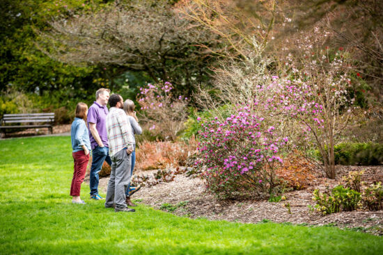 Winter Garden UWBG Winter Garden