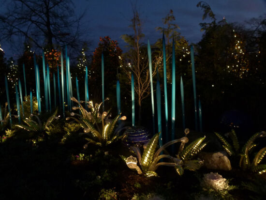 Ferns in Chihuly Garden