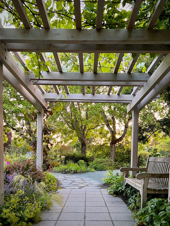 Bellevue Botanical Garden