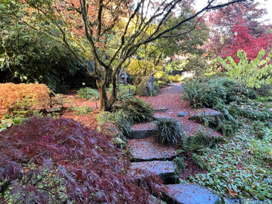 Bellevue Botanical Garden in autumn