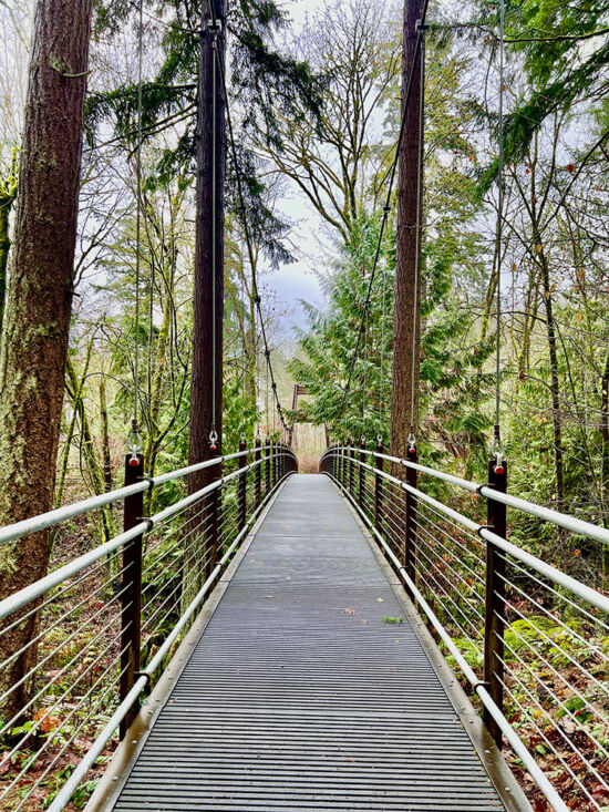 Bellevue Botanical Garden