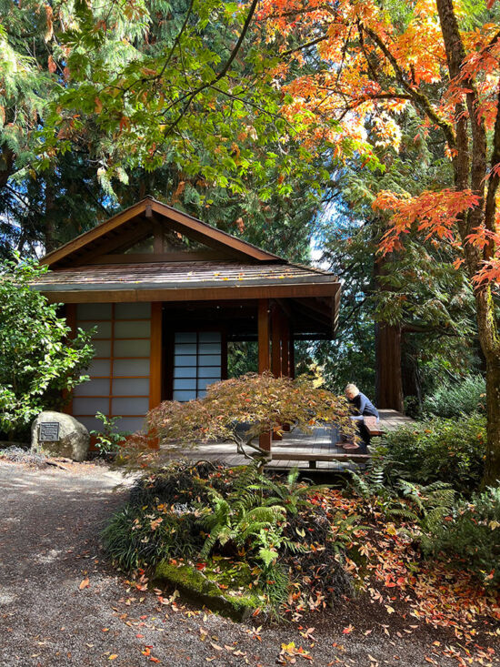 Bellevue Botanical Garden teahouse