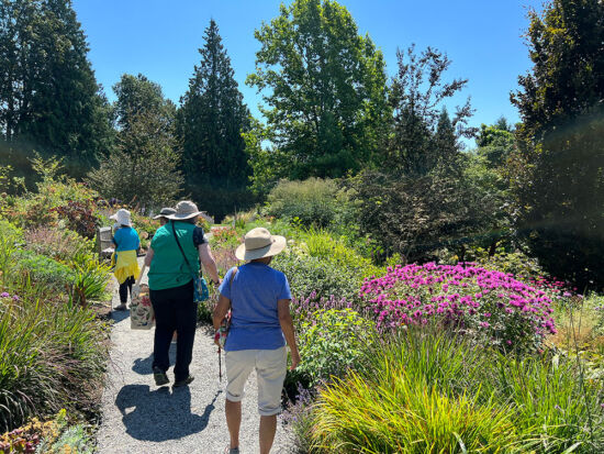 Bellevue Botanical Garden visitors