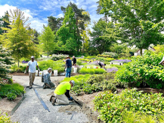 Bellevue Botanical Garden volunteers