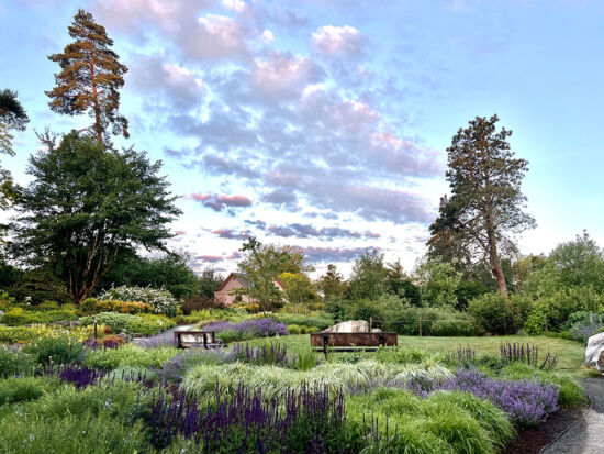 Bellevue Botanical Garden