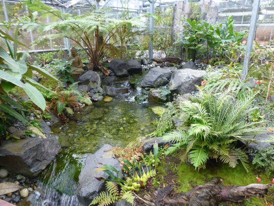 Rhododendron Species Botanical Garden