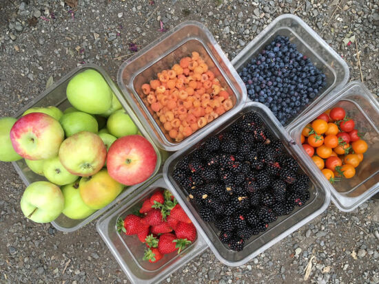Kitchen garden produce
