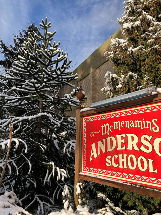 Monkey Puzzle in snow