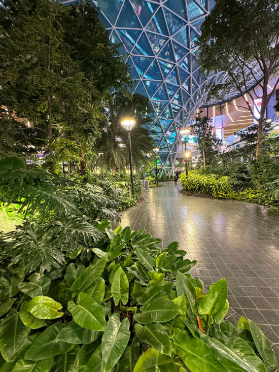 Relax in Doha, Qatar Airport - gardens